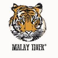 MALAY TIGER